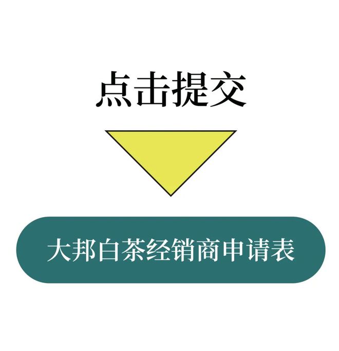 疯狂的云南白茶：机会面前人人不平等